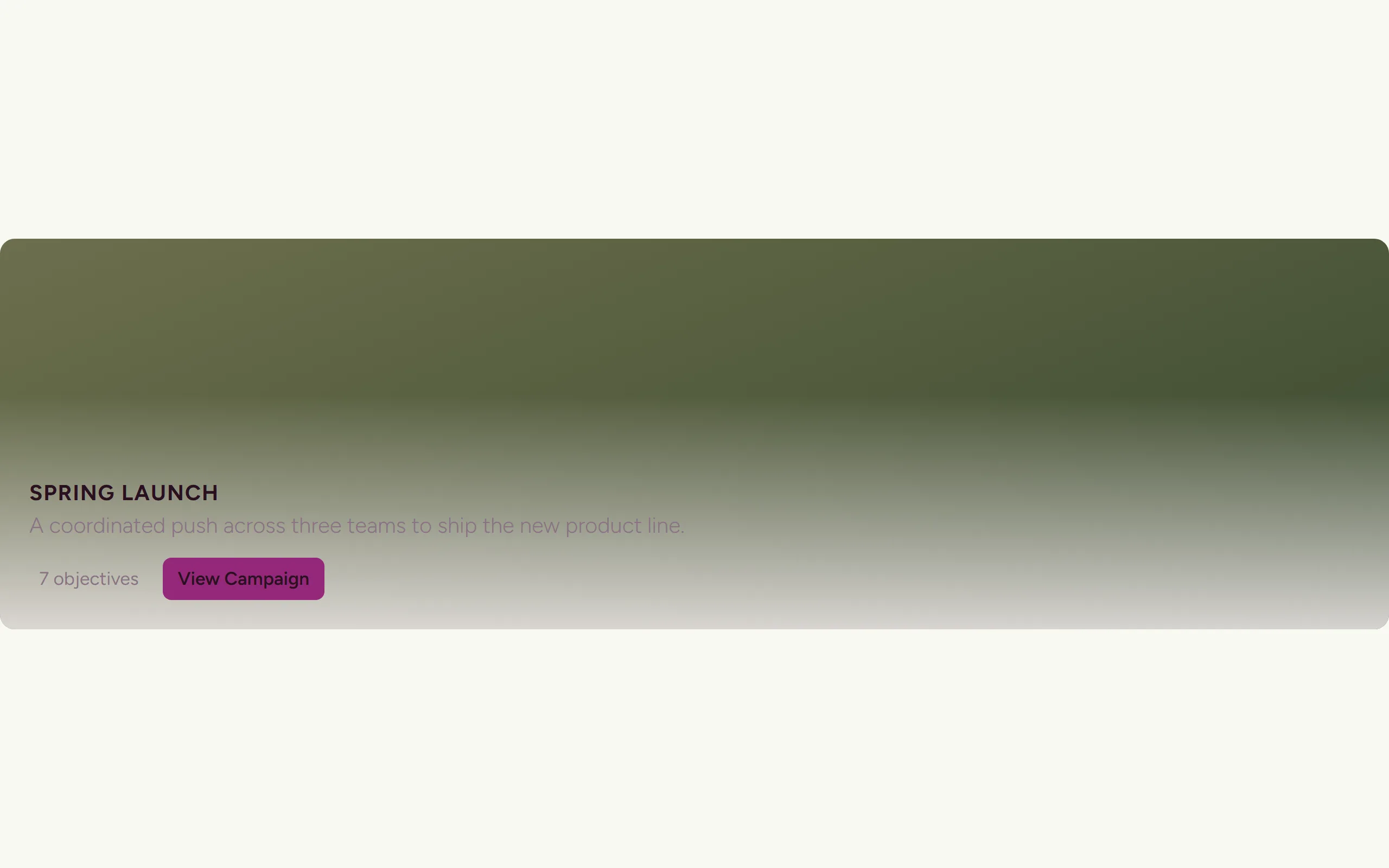 Campaign Banner — light theme