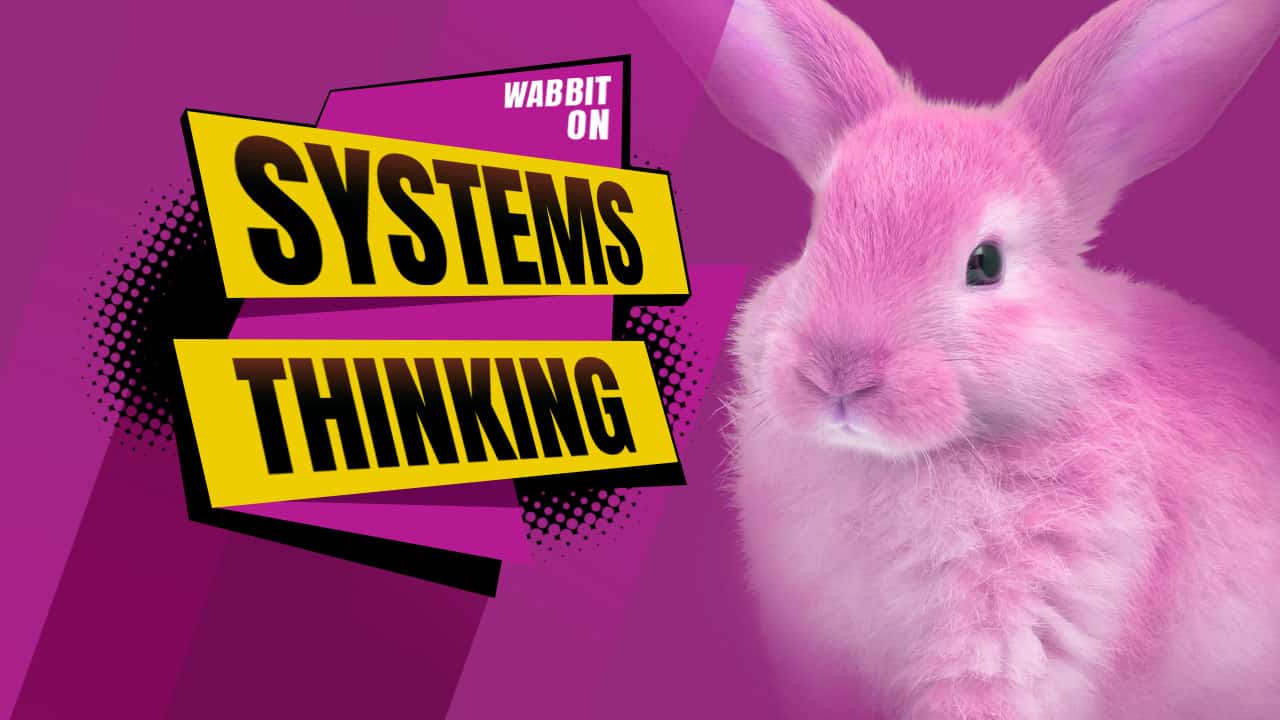 Read more about the article Systems Thinking