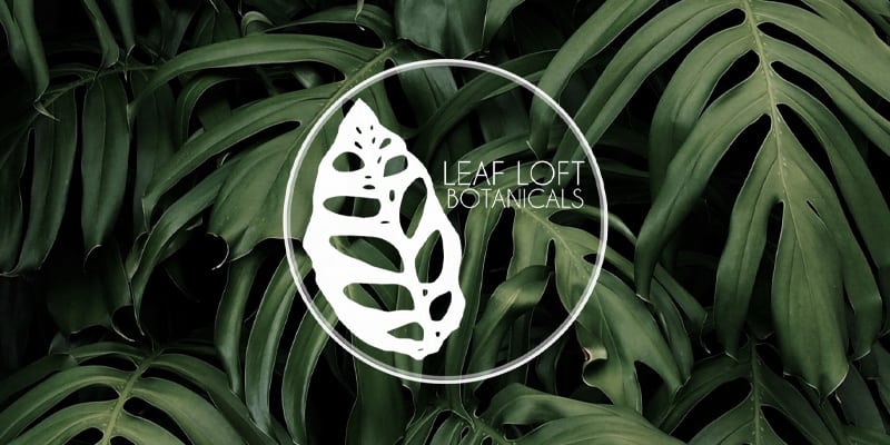 Read more about the article Leaf Loft